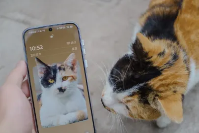 ヴェスパー カジノ モバイルアプリ